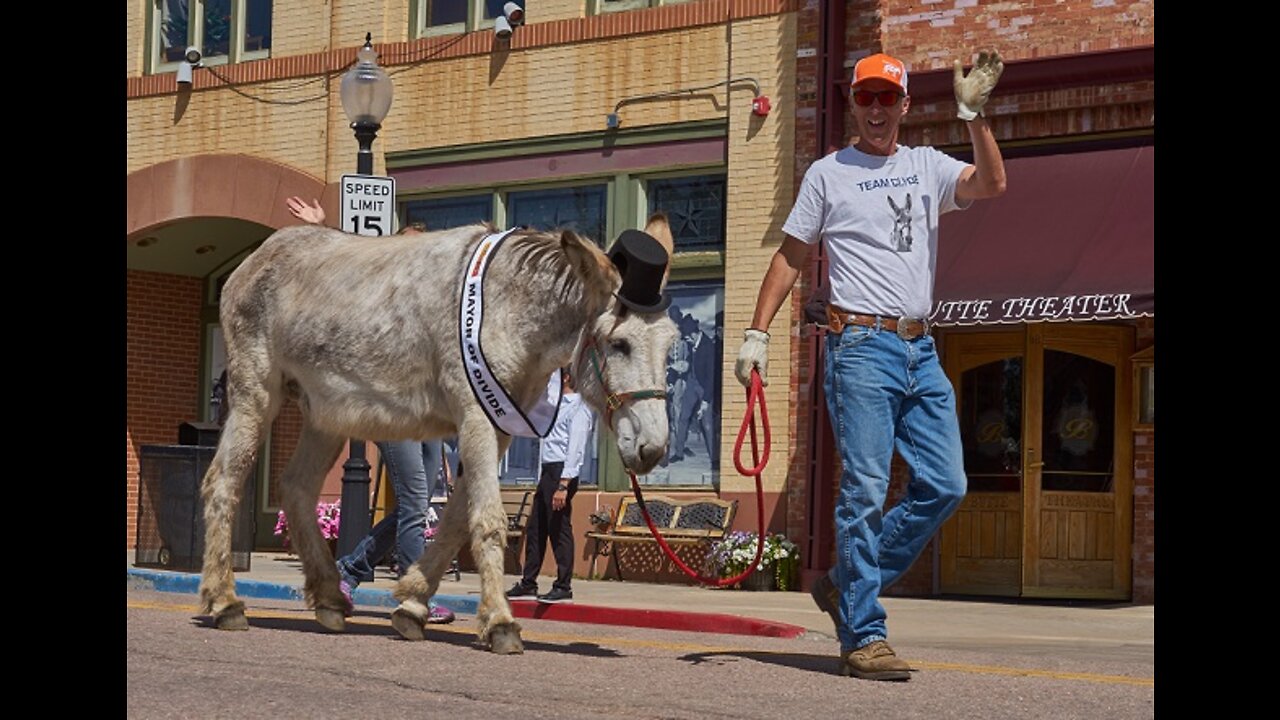 Donkey Derby Days Parade 2022