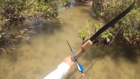 GIANT & CRAB & Catch & and & Cook BOW n ARROW vs FISH