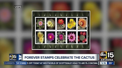 USPS stamps honor cactus flowers