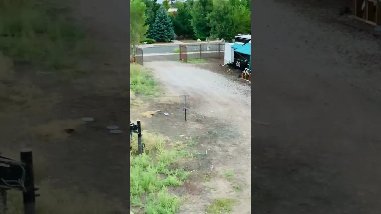 Making a Putt from the Roof of a Bus! #discgolf