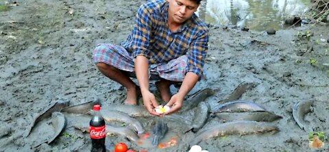 Unique Mud Fishing Using Coca cola & Egg and trick is revealed in the end