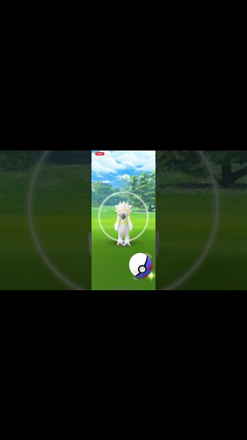 Pokémon Go - Catching Furfrou, The Poodle Pokémon (New Pokémon For Fashion Week)