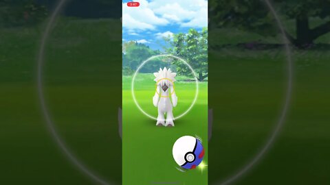 Pokémon Go - Catching Furfrou, The Poodle Pokémon (New Pokémon For Fashion Week)