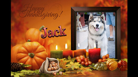 My Husky, My Best Friend - Thanksgiving 2023