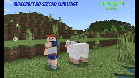 Minecraft 30 Second Challenge - Challenge 4 - Sheep
