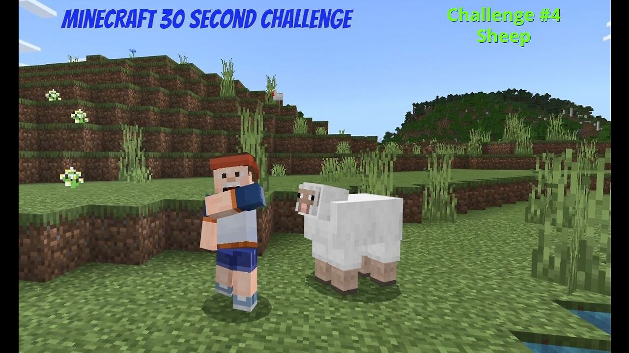 Minecraft 30 Second Challenge - Challenge 4 - Sheep