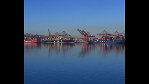 Fines Against Shipping Companies Delayed After Progress at LA Port