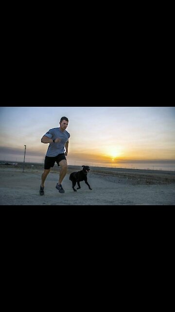 A dog helps his owner with exercises