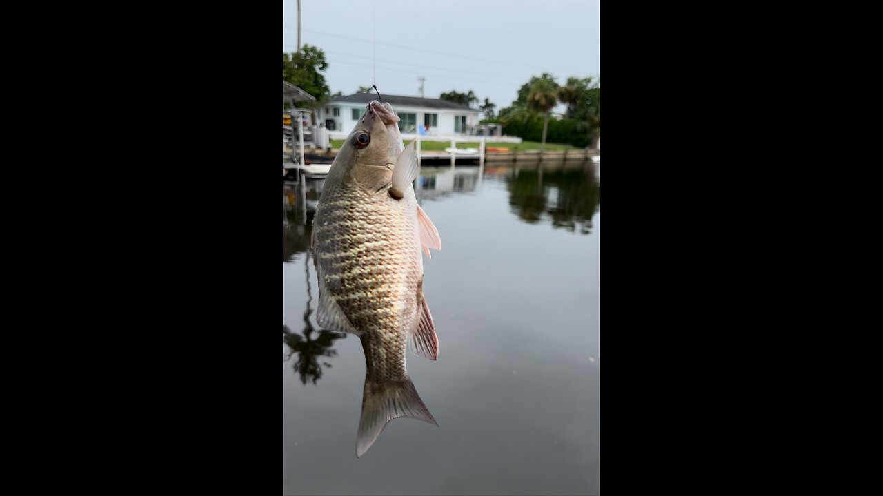 Family Fishing Fun! | 4K