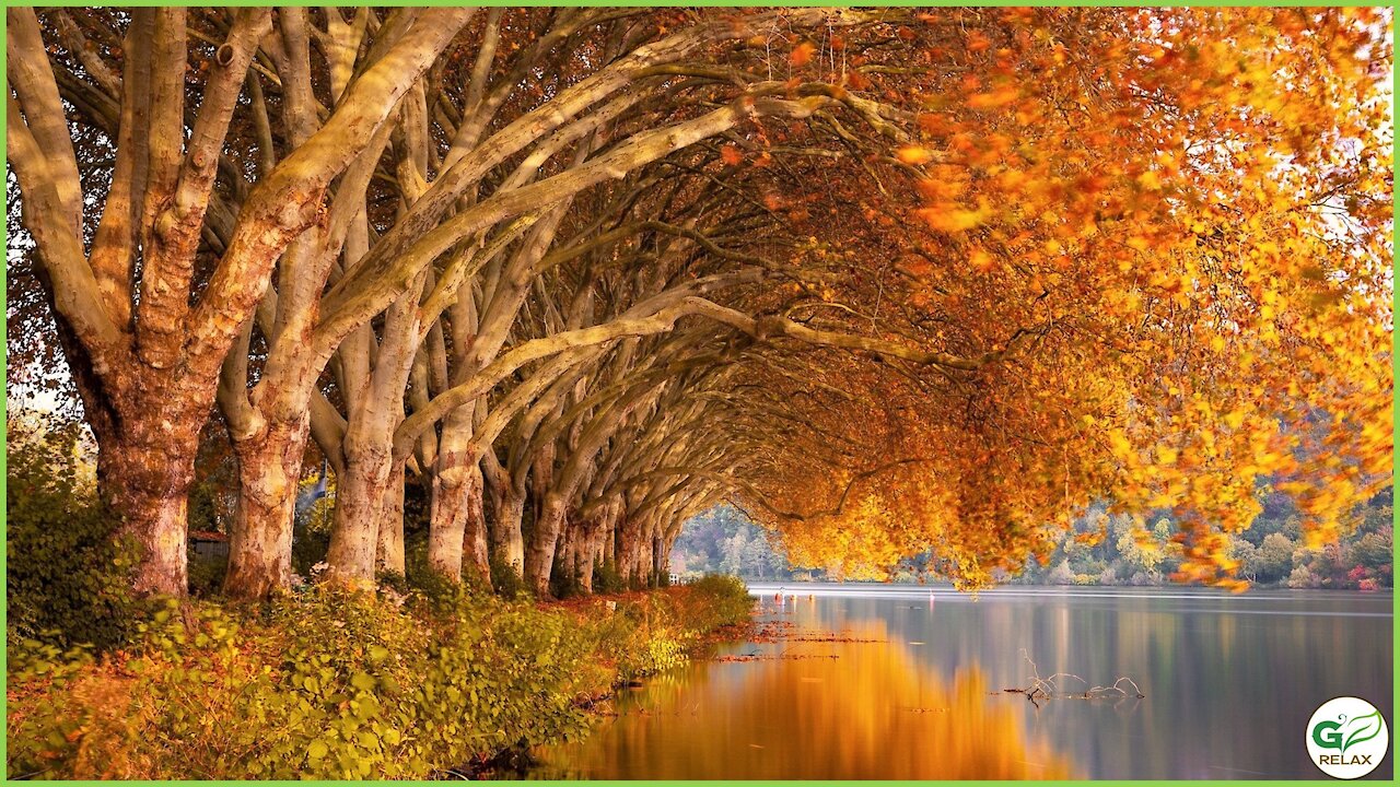 Autumn Leaves and Relaxing Piano Music 🍁🎹🍂 Stress Relief, Relaxation, Meditation, Study Music