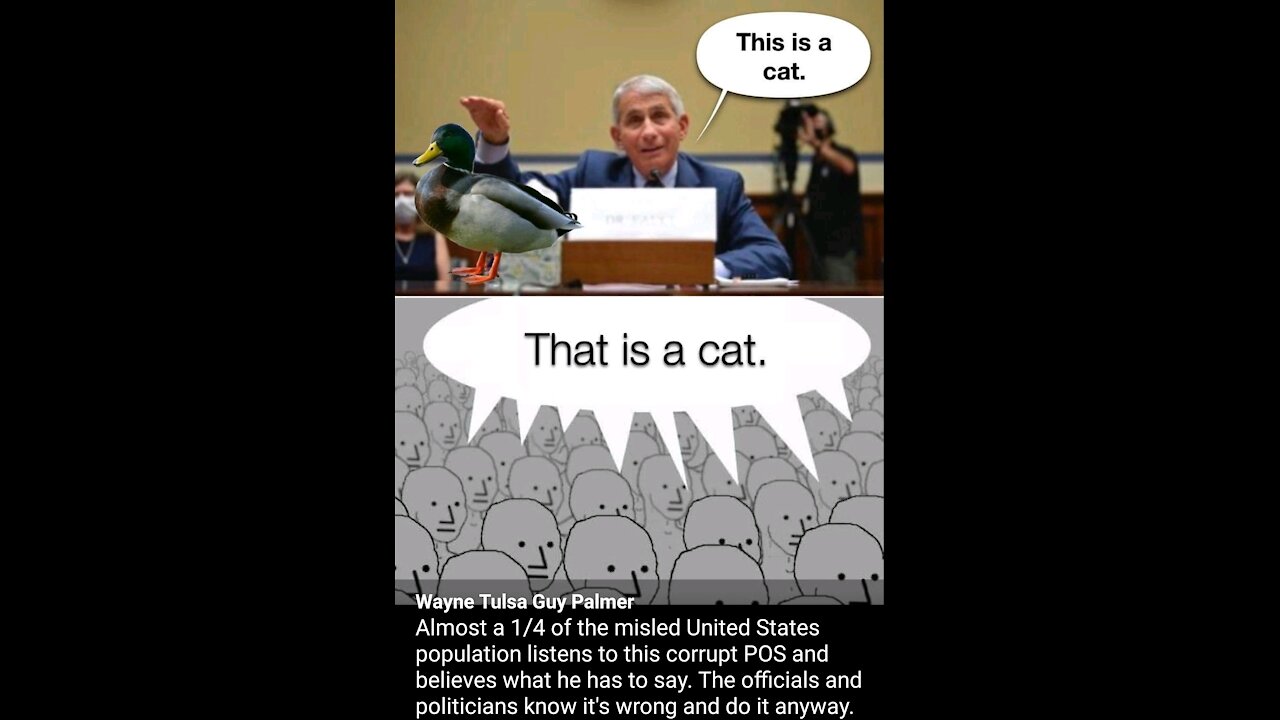 Whitehouse "Fake it until you make it" policies.