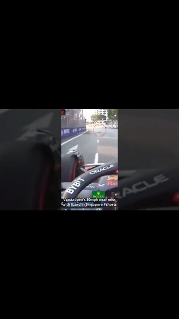 Verstappen's 50mph near miss with lizard in Singapore #shorts