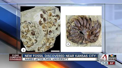 Park University makes history with new fossil discovery