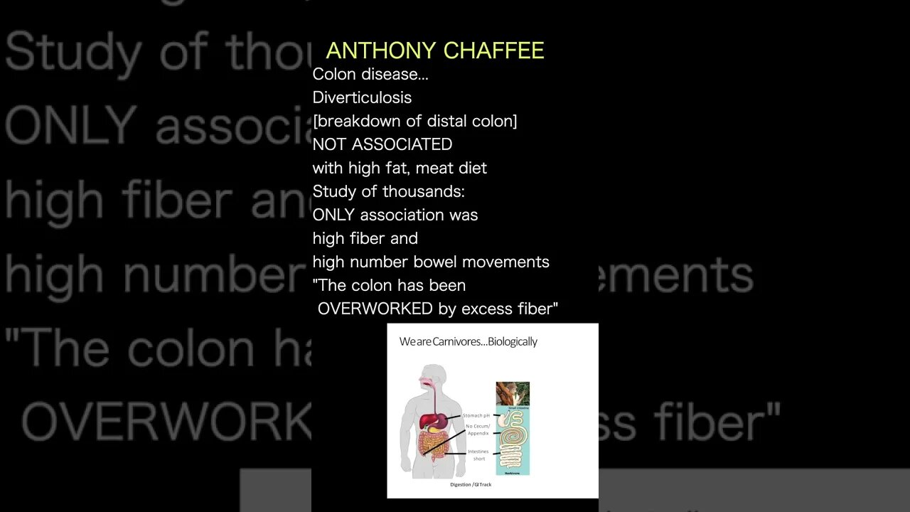 DR ANTHONY CHAFFEE: Fiber wears our bowels OUT!! Patients with bowel disease put on fiber free diet