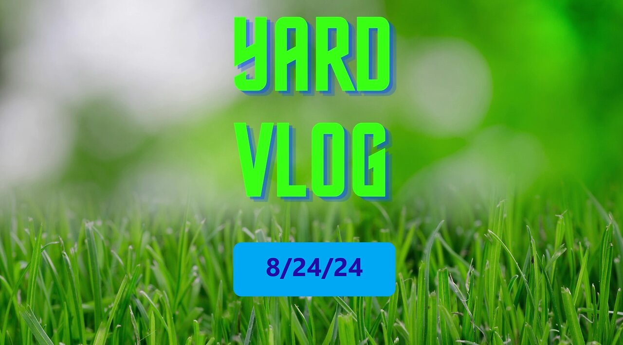 Yard Vlog 8/24/24