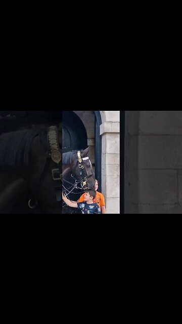 Young boy bitten on the top of the head #horseguardsparade