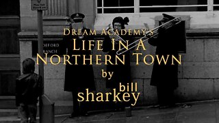 Life In A Northern Town - Dream Academy (cover-live by Bill Sharkey)