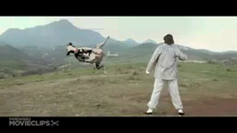 cow fighting