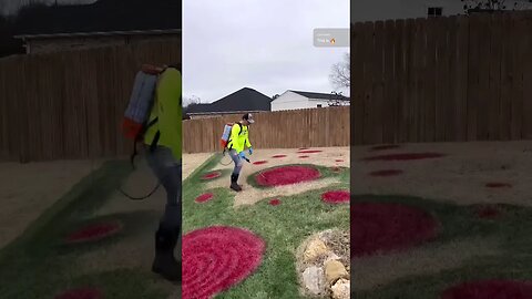 Grand Finale Grass Painting