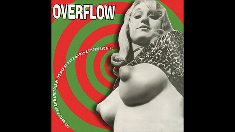 Overflow - Extremly Perverted Fantasies Of The Mad Milkman's