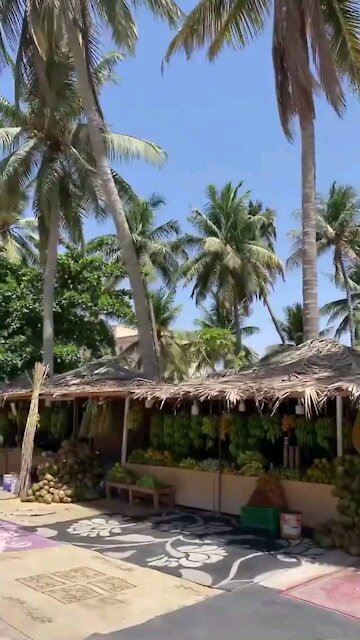Salala in Oman is like Zanzibar Island