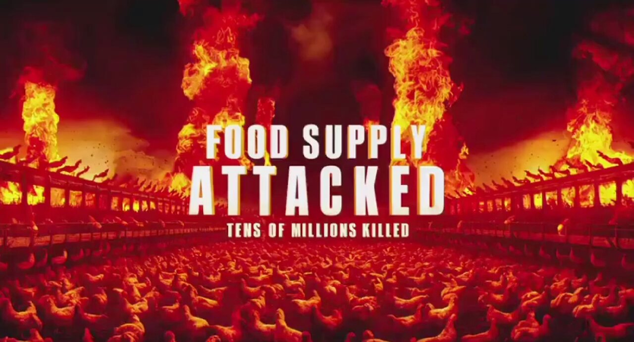 NWO: US government culling 100's of millions of chickens; fake flu tests & attack on food supply