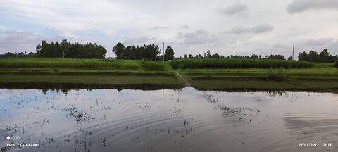 River Fishing fish