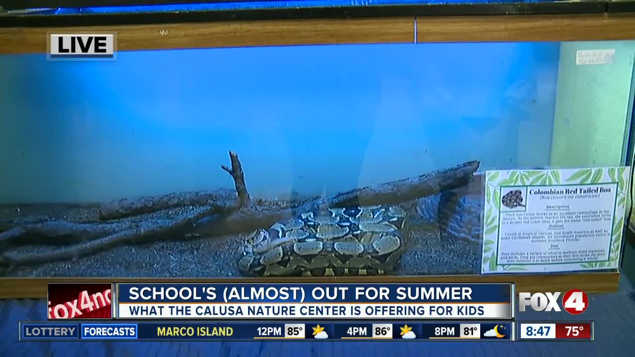 Summer camp preview: Calusa Nature Center and Planetarium -- 8:30am live report