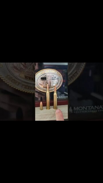 For All The Smart Gun Guys