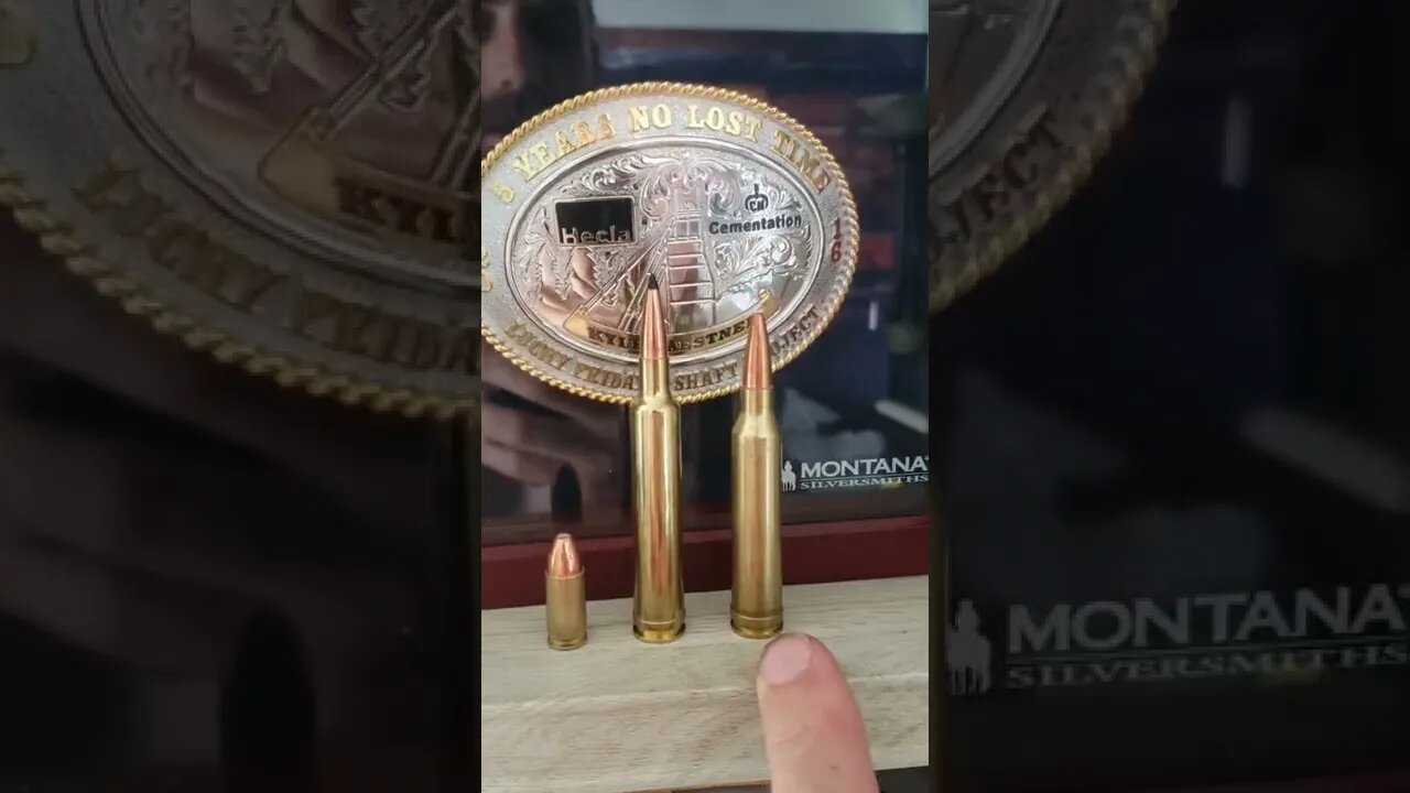 For All The Smart Gun Guys