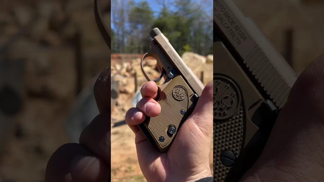 Beretta 32 Tomcat FPV