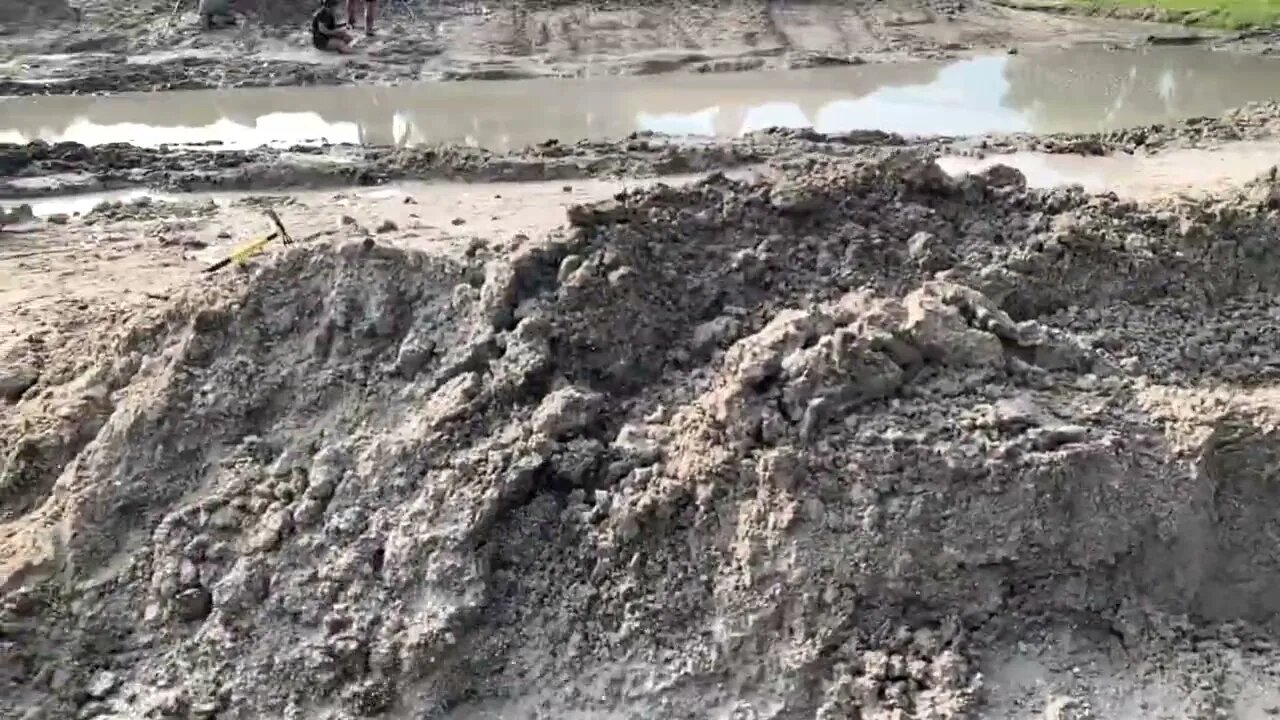 Bone Valley Fossil Farm / June 2022