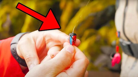 This Method Is So EFFECTIVE At Catching SALMON & STEELHEAD! (Air Fried Steelhead Tacos Catch N Cook)
