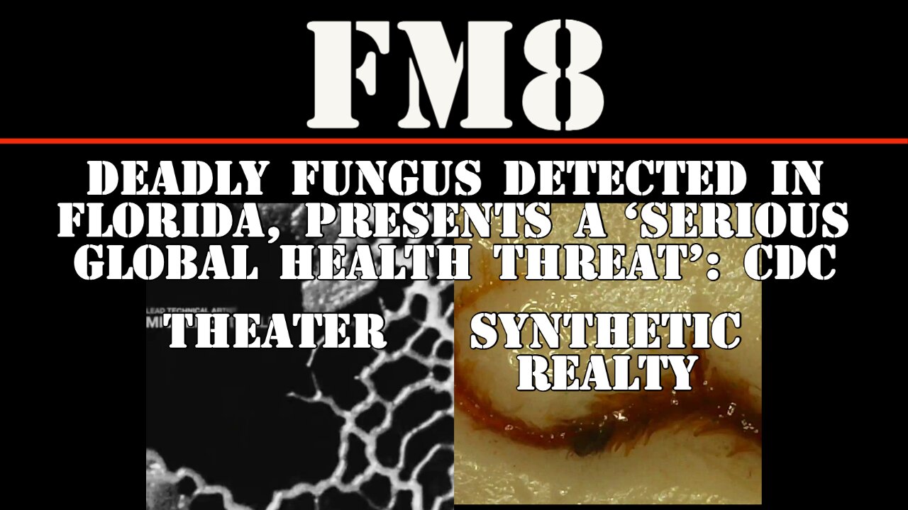 FM8 - MORE SYNTHETIC FUNGUS STRUCTURES FOUND