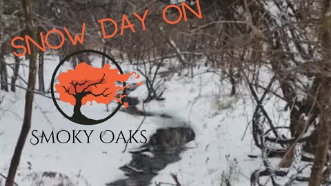 First Snow Day On Smoky Oaks Ranch