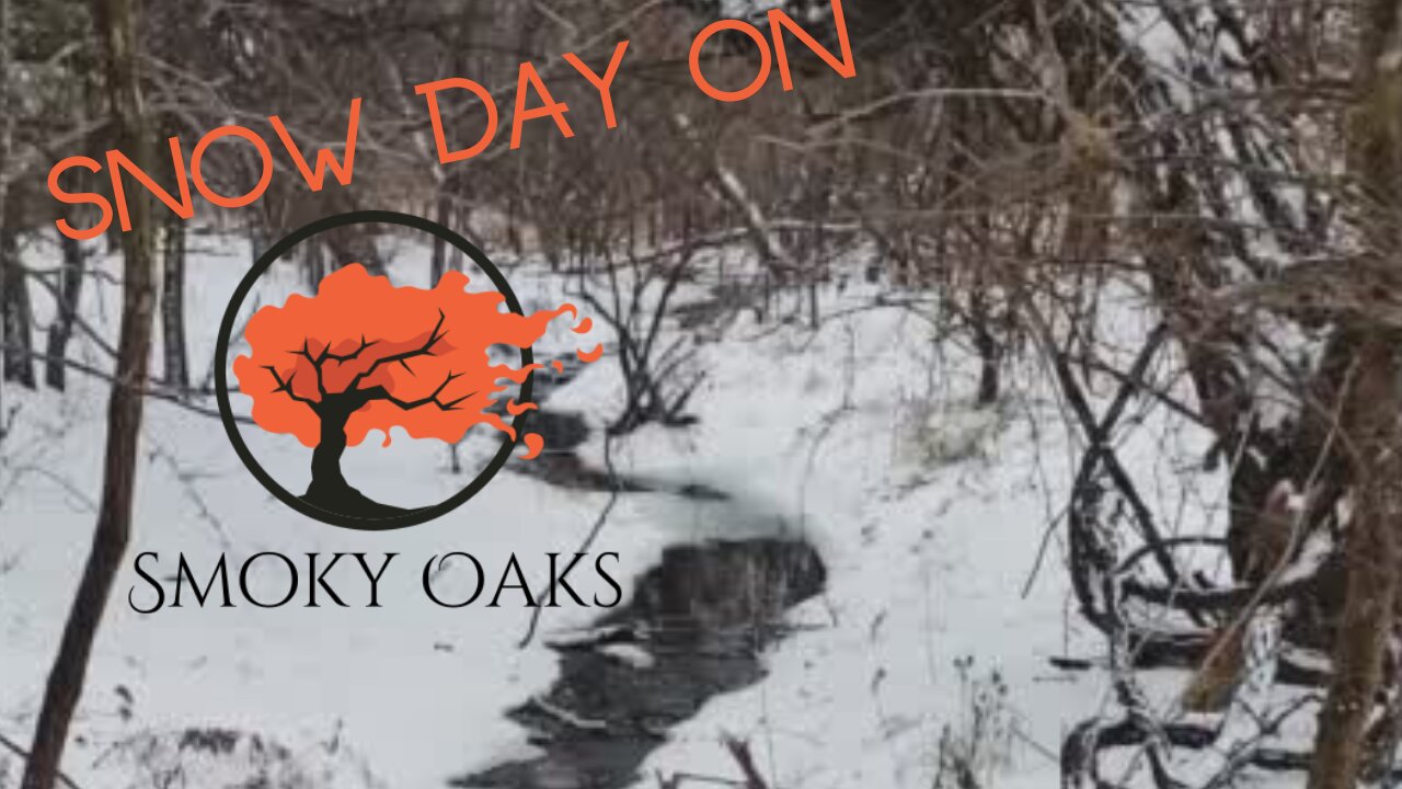 First Snow Day On Smoky Oaks Ranch