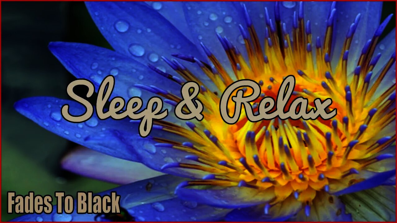 Sleep & Relax: Beautiful Uplifting Inspirational Ambient, Contemporary & Classical Music Video's