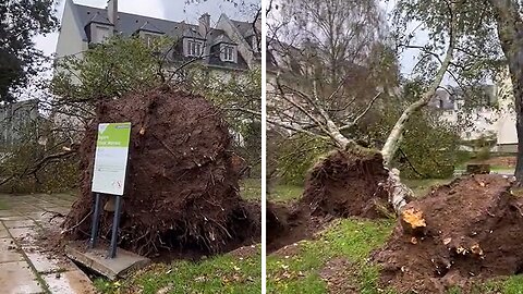 Impressive damage still in city center of Brest following passage of Storm Cairan