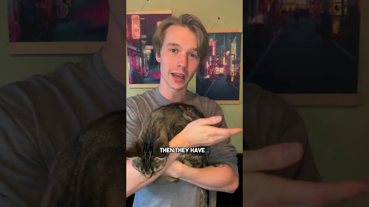 Share with a friend❤️ #cat #kitten #cattest #cute #leontcd #relatable #blackcat #dangletest #funny