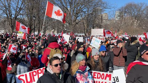 Toronto freedom convoy