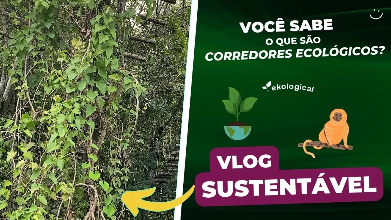 JÁ OUVIU FALAR SOBRE CORREDORES ECOLÓGICOS? #sustentabilidade