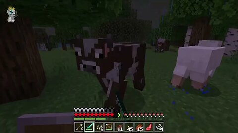 MInecraft part 18, Odds and ends on the Surface.