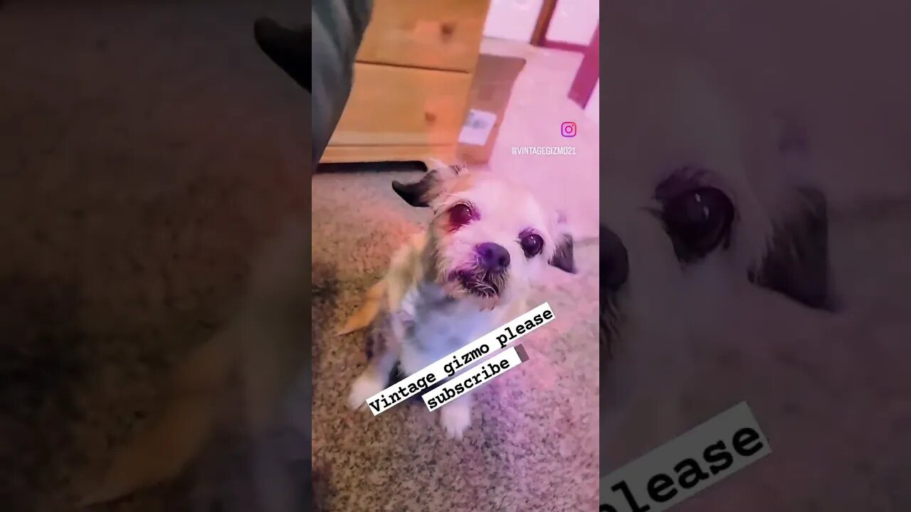 Extra Gizmo