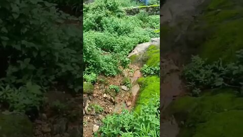 comment the text in the video 😅😅 #shorts #mountains #funny #challenge