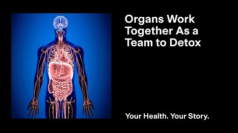 Organs Work Together As a Team to Detox