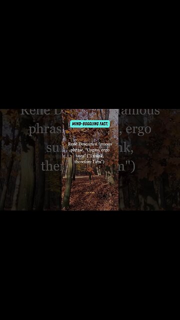 Descartes on self awareness Cogito, ergo sum I think, therefore I am 🤔