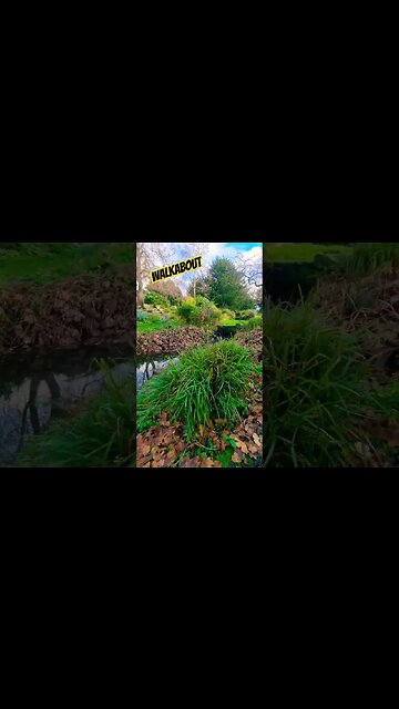 Walkabout 🍃 #walkabout #nature #naturelovers #walkingaround #crocodiledundee #autumn #autumnleaves