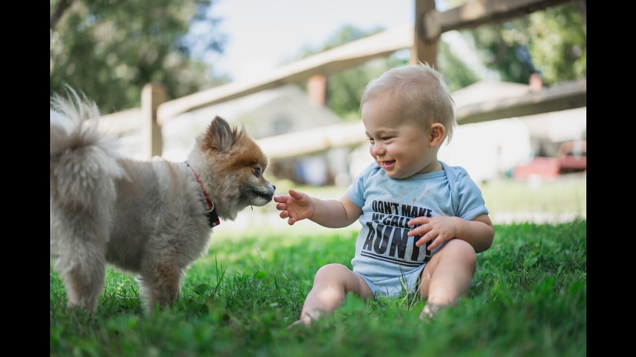 Cute Baby Playing With Dogs