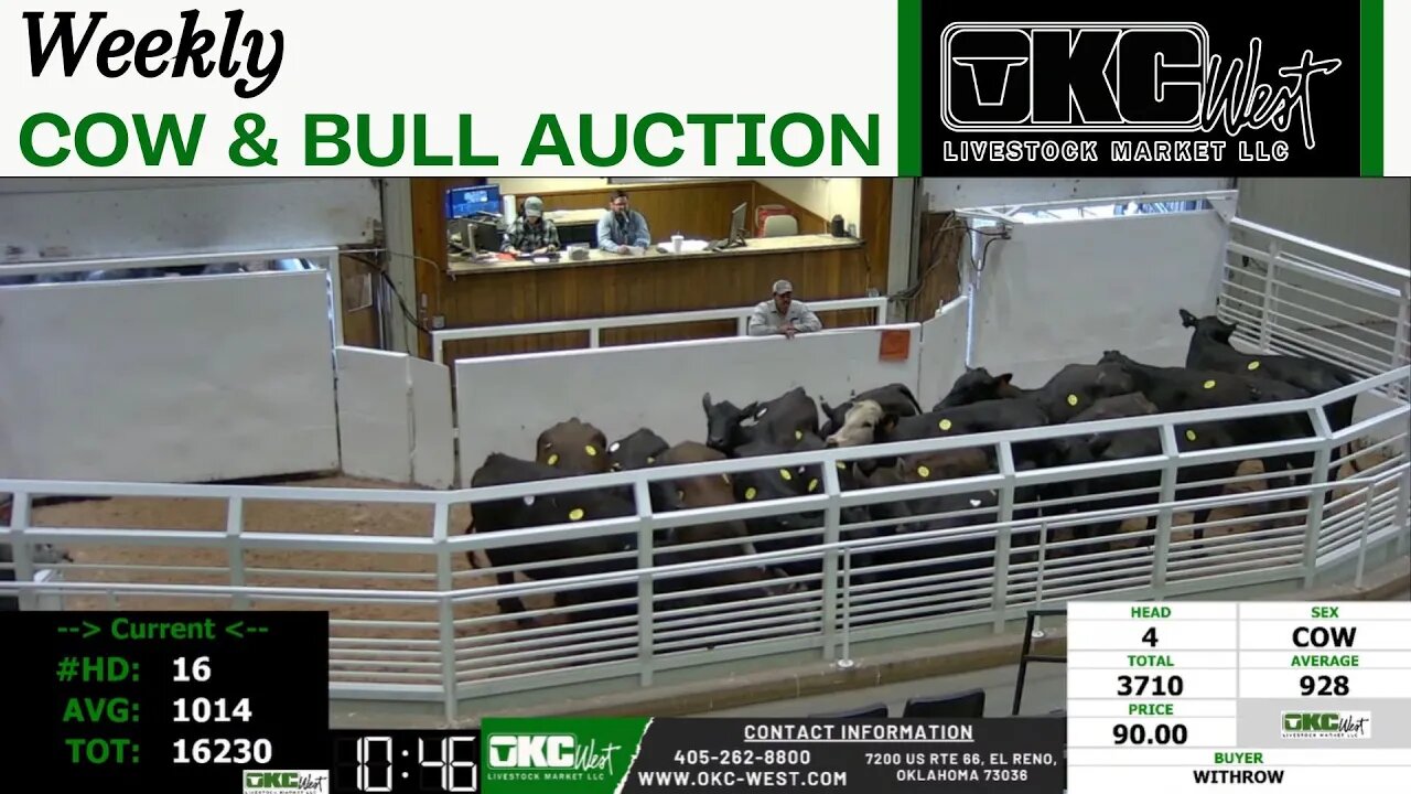 4/24/2023 - OKC West Weekly Cow & Bull Auction