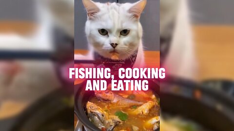 Fishing, Cooking and Eating 🐱🐱🐱